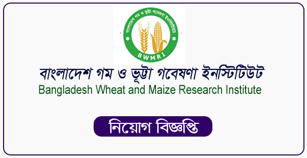 Bangladesh Wheat and Maize Research Institute Jobs Circular 2023