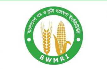 Bangladesh Wheat and Maize Research Institute job circular-2021